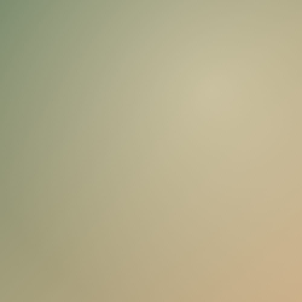 The Feel-Seen Guided Journal cover